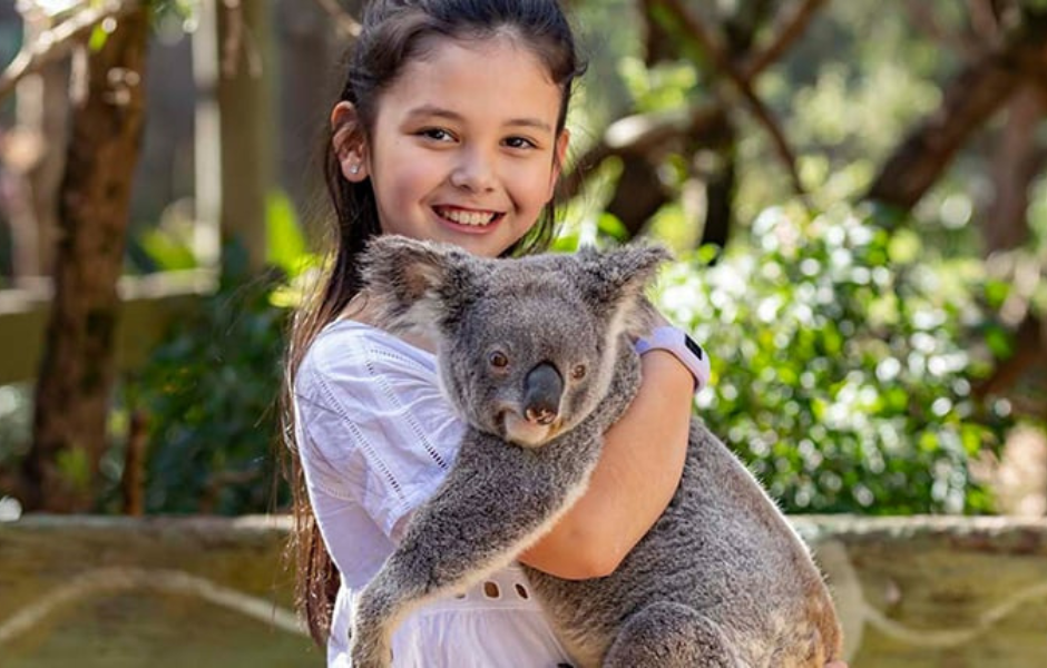 Dreamworld Koala Cuddle